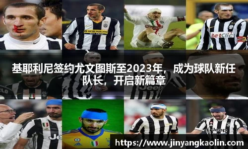 jn江南体育