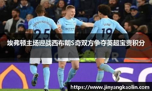 埃弗顿主场迎战西布朗S奇双方争夺英超宝贵积分